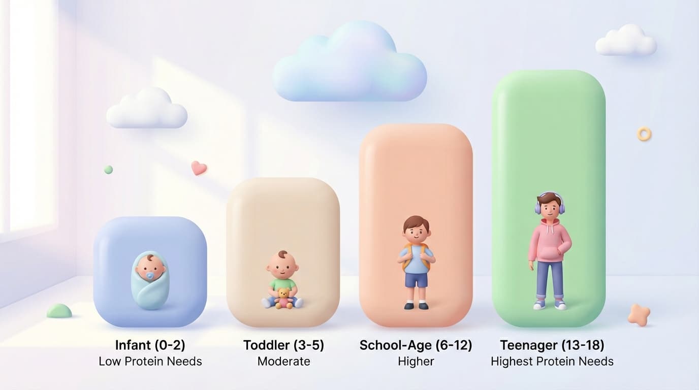 مقایسه نیاز پروتئین در نوزاد، نوپا، کودک مدرسهای و نوجوان بهصورت نمودار تصویری